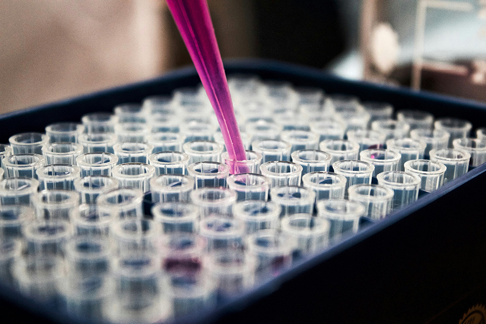 Vials being filled with medicine